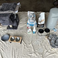 Cat Starter Kit