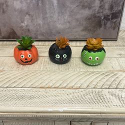 Set Of Small Plant Pumpkin 