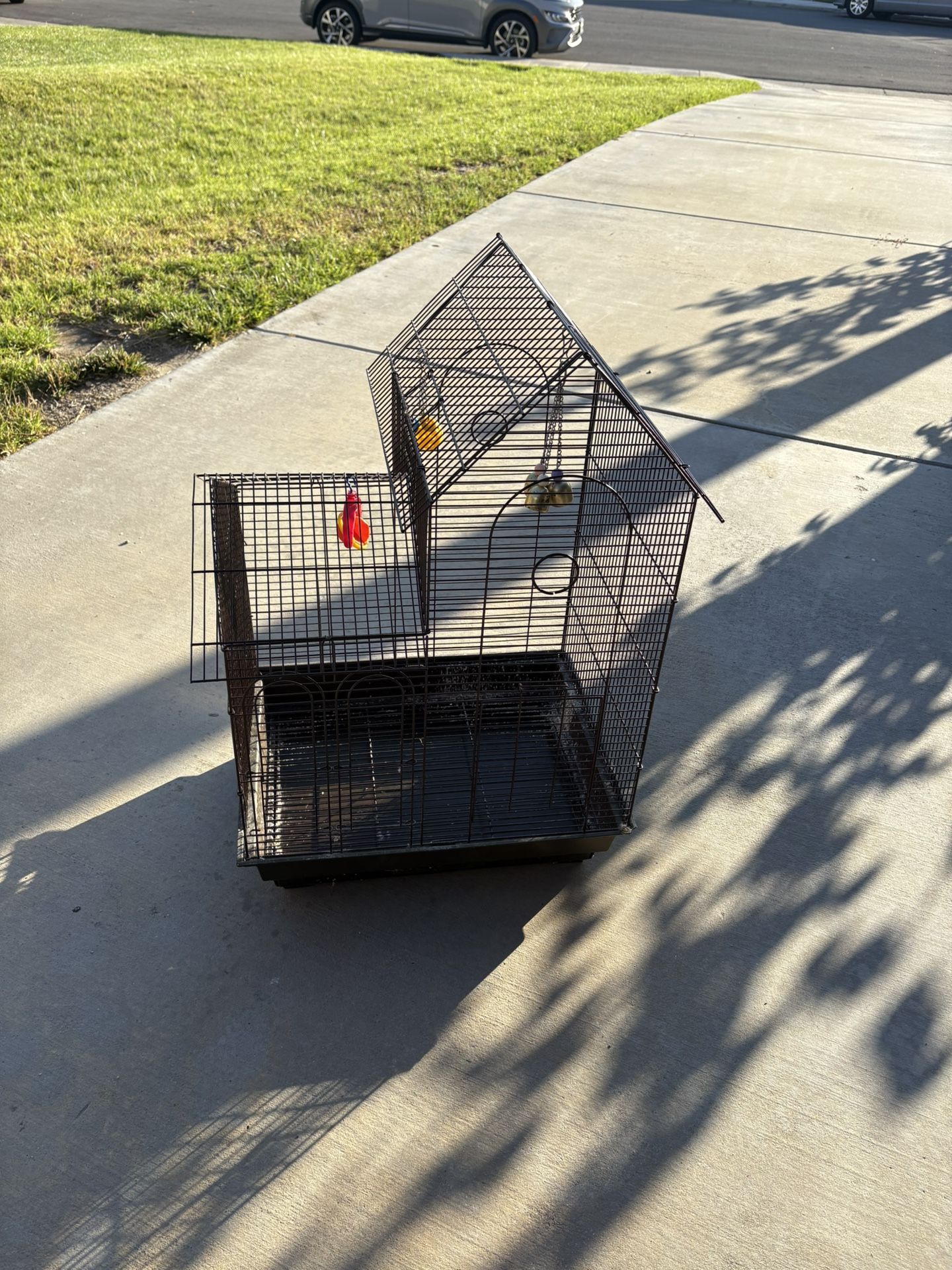 Bird Cage