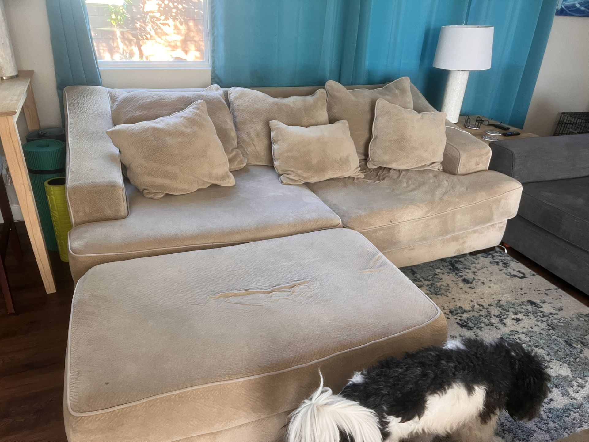 Couch and ottoman 