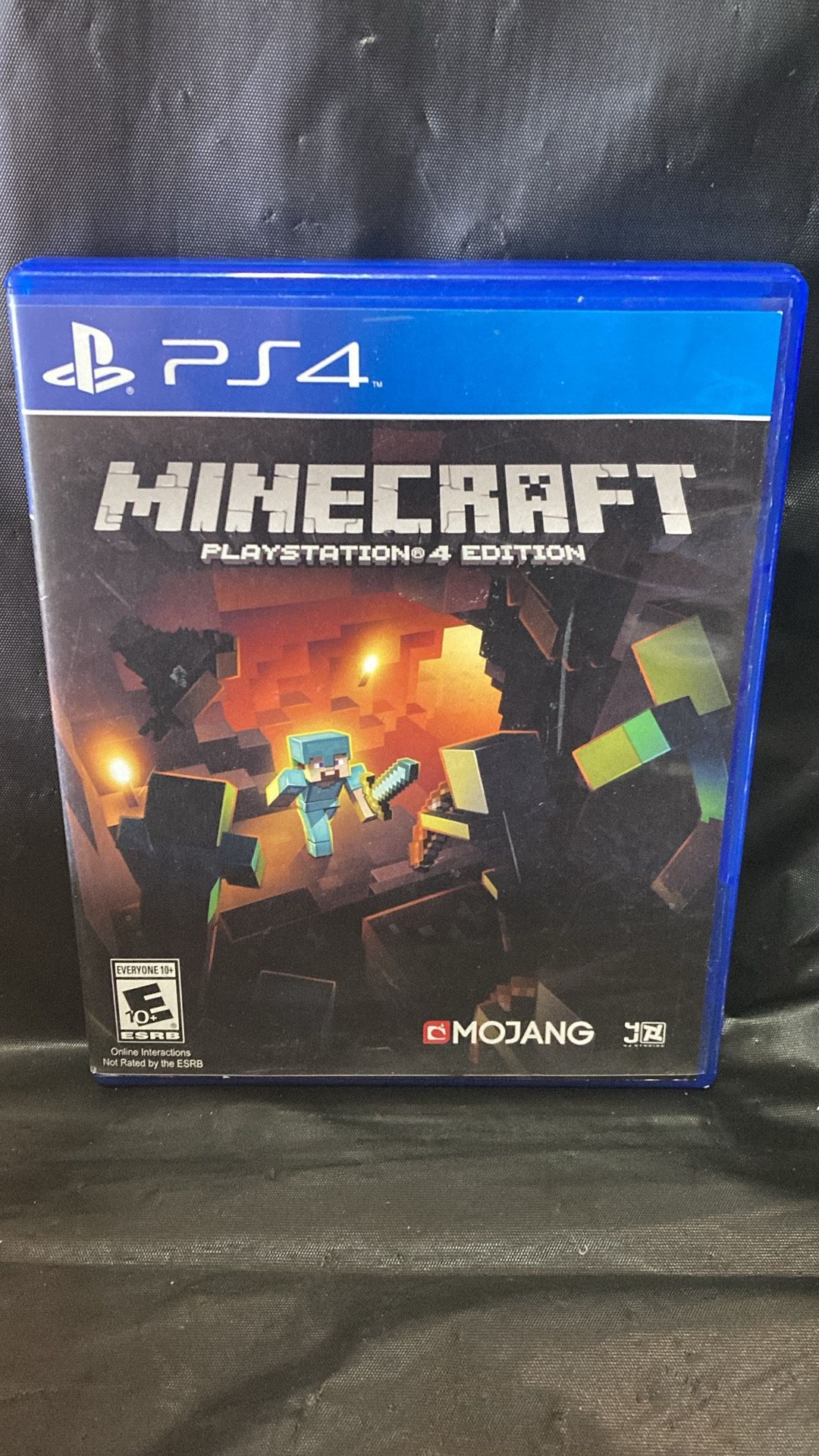 PlayStation 4 Minecraft video game