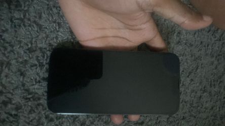 mint 13 pro