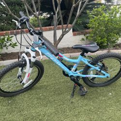 Schwinn 7 Speed Mountain Bike 20x20.10