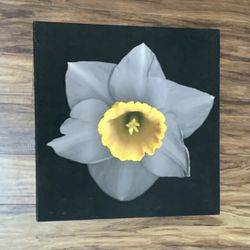 Flower Wall Art