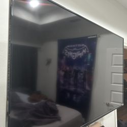 60” Vizio Flat Screen TV