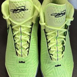 Nike Zoom LeBron NXXT Genisus Barley Volt