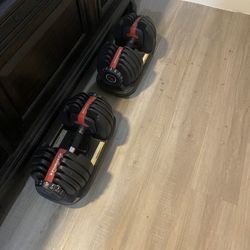 Dumbbells  Bow flex 