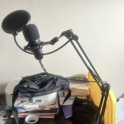 Microphone with Interface (USB Compatible)