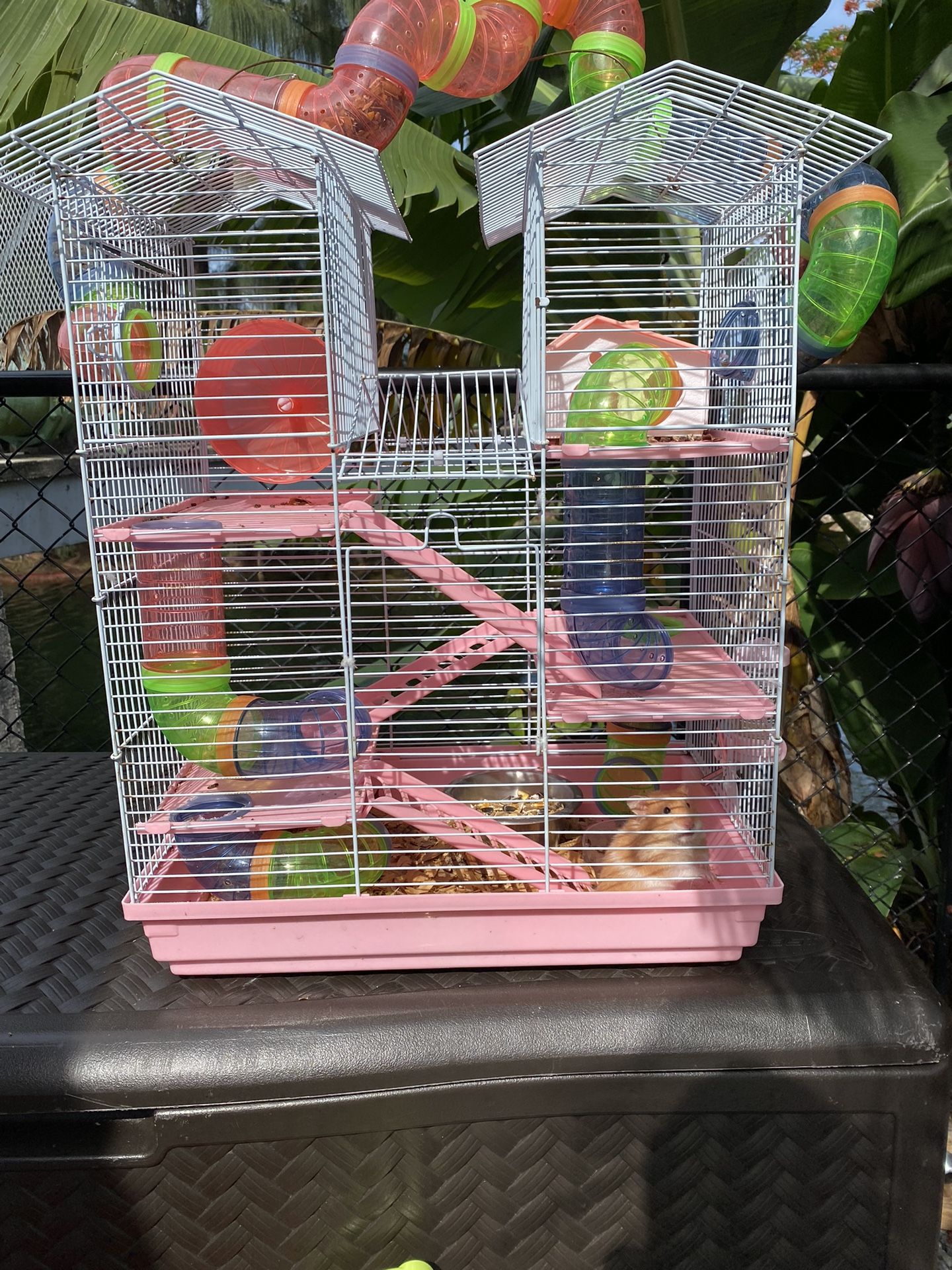 Cage with hamster