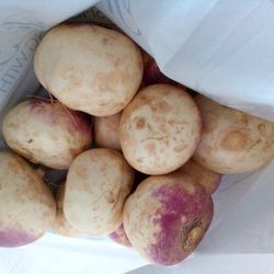 10+ Purple Top Turnips