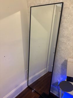 2 large body mirrors