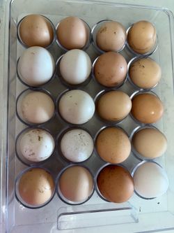 Huevos organicos