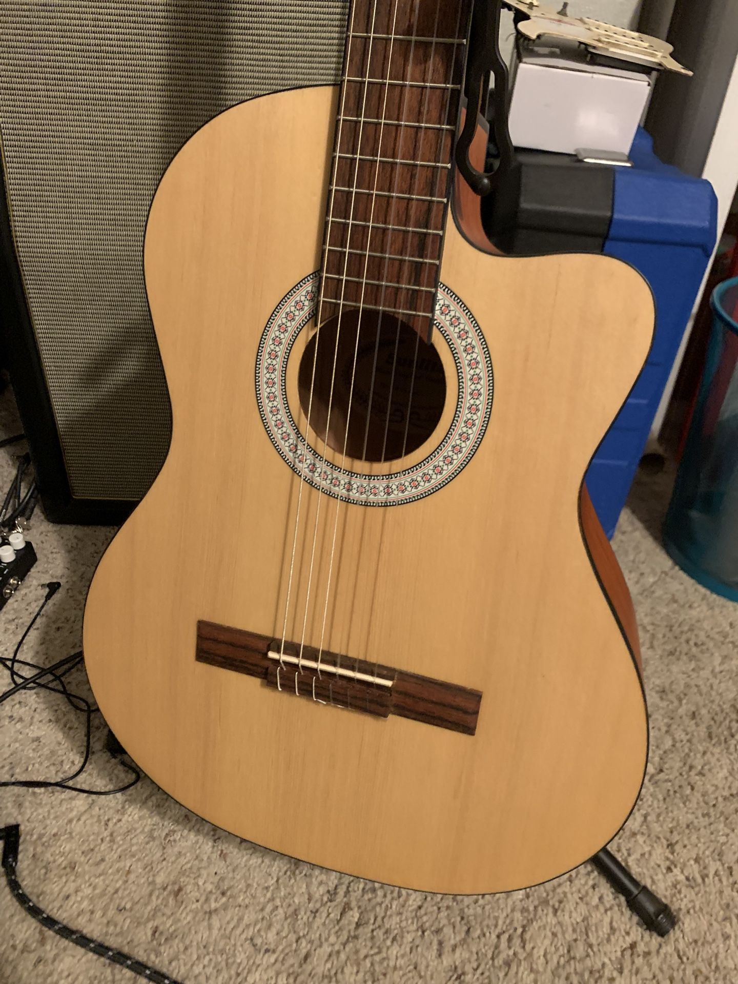 New Sunlight CM-100CE Classical Acoustic / Electric Guitar - Beautiful!