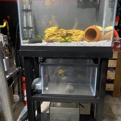 30, 20, 10, 2.5 gallon tank aquarium 