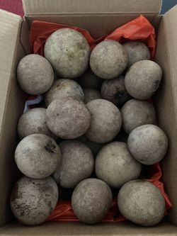 Organic Sapodilla 