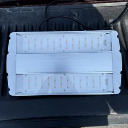 Grow Light