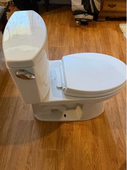 Toilet, Toto
