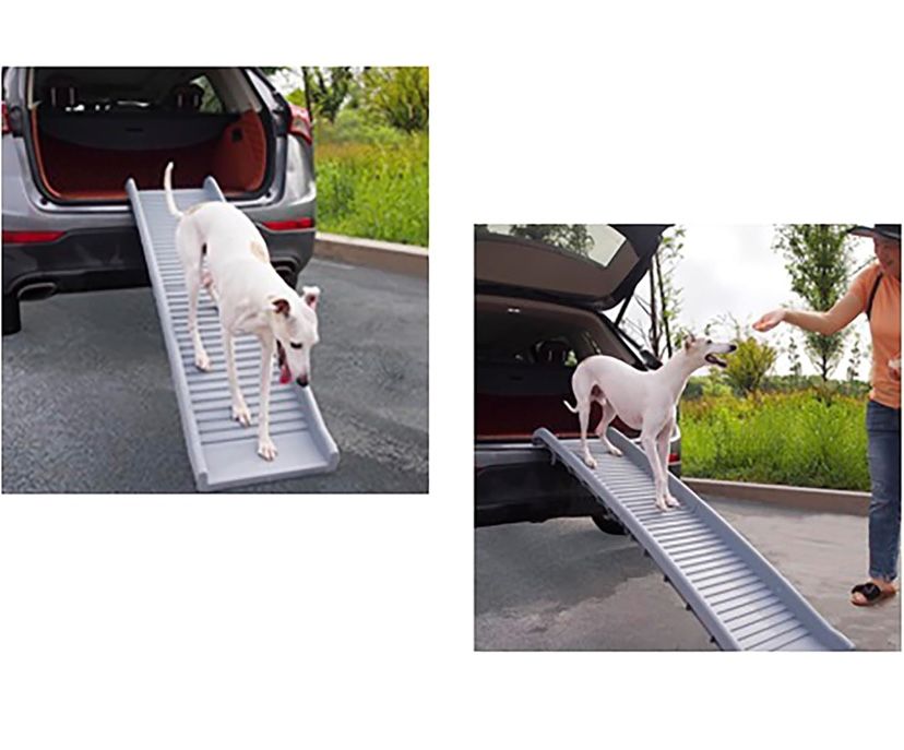 Folding Pet Ramp, 61 Inch, Portable Lightweight