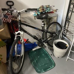 Giant Sedona Gear Shift Bike Adult