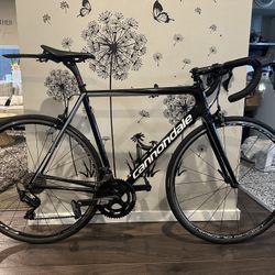Cannondale SuperSix Evo 2