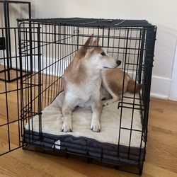 iCrate Dog fold & collapsible wire crate