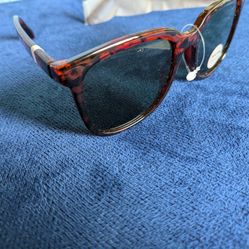 Striped Brown Sunglasses 