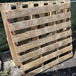 Pallets All Sizes