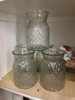 5 Glass Jar Vases