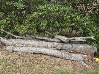 Oak Logs
