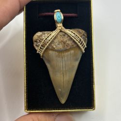 Mako Shake Tooth Necklace Handmade - 14k Gold Filled 