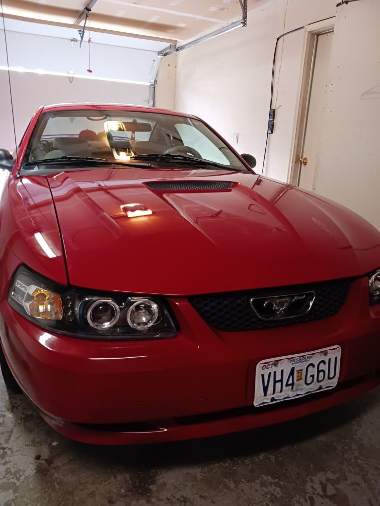 1999 Ford Mustang