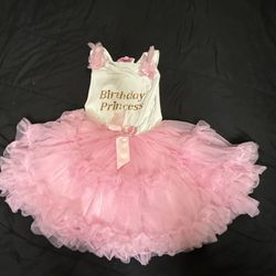Birthday Princess, Toddle Girl, Size 5-6, White & Pink