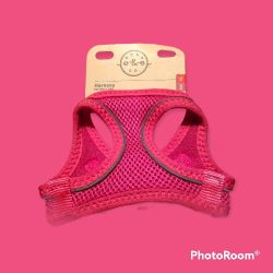 Bond  & Co Small Dog Harness