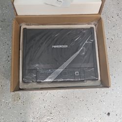 PIONEER WORKS safe  PGS01