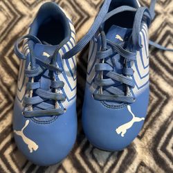 Soccer Shoes 