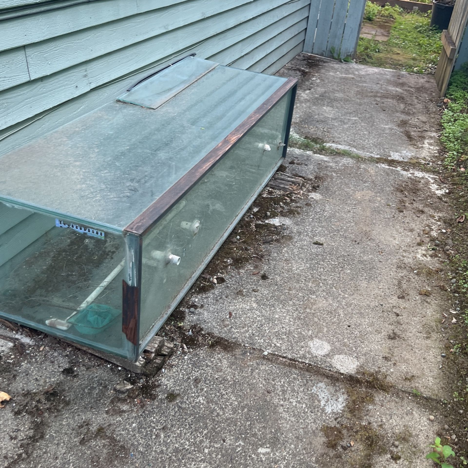 Free Fish tank 150g.