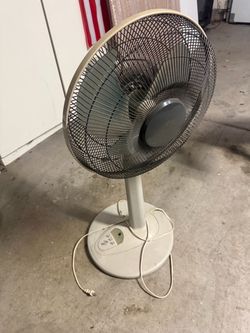 Fan