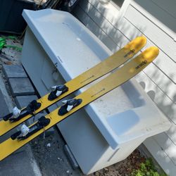 Powder Skis