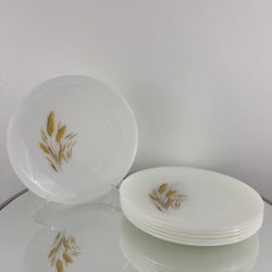 Vintage Fire King Golden Wheat Milk Glass Dishware Set of 6 Large Dinner Plates