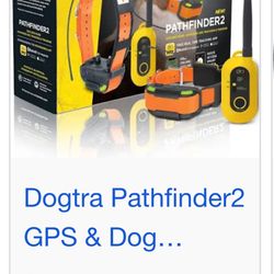 Dogtra Pathfinder 2 | Training E-collar and GPS