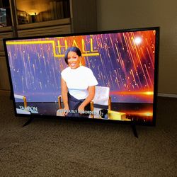 40” Insignia TV 
