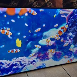 Samsung 55inch 4k Tv