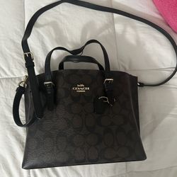 Coach Mollie 25 Tote Bag 