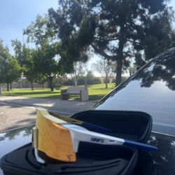 Tatis Jr Speed Craft Glasses