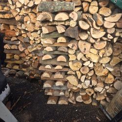 Seasoned Firewood