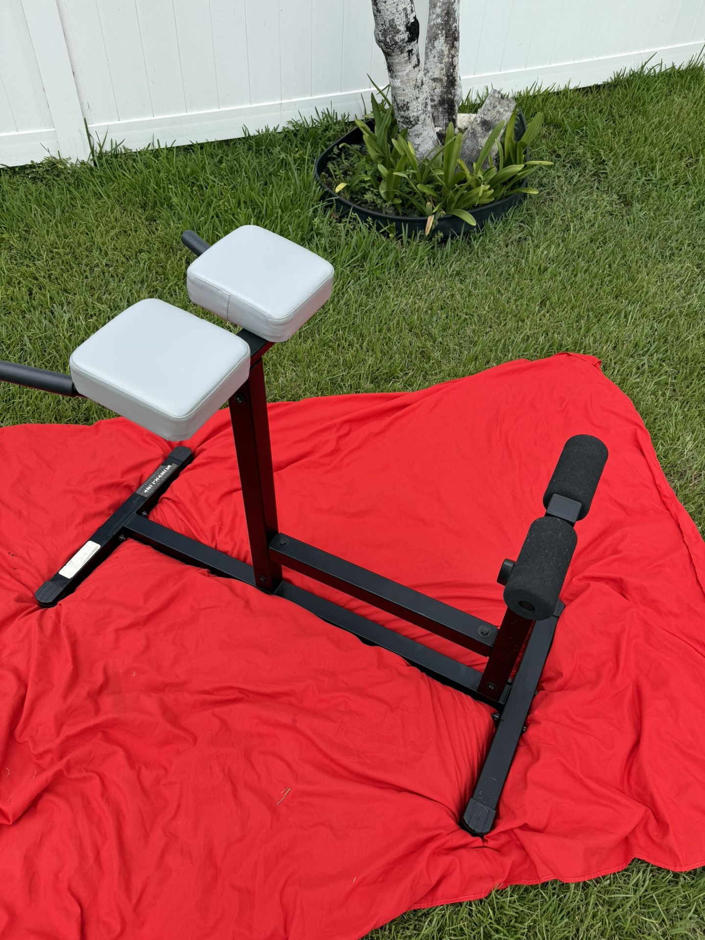 Roman Chair Hyperextension Bench- Abs, Back, Glutes +++