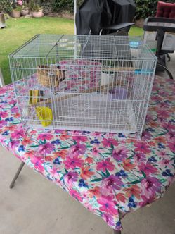 Bird cage