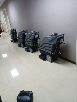 Carpet clean