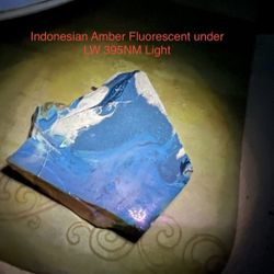 Indonesian Genuine Amber Polished Slice 22.4g HIGHLY FLUORESCENT  AUTHENTIC RARE