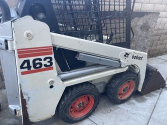 Bobcat